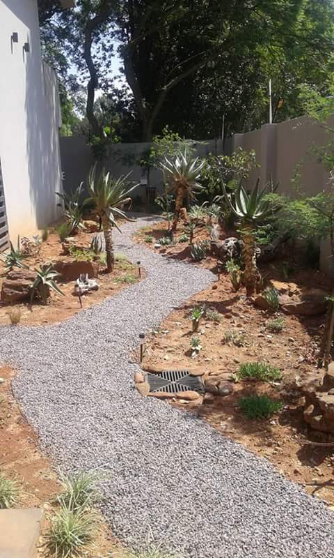Arid Landscaping