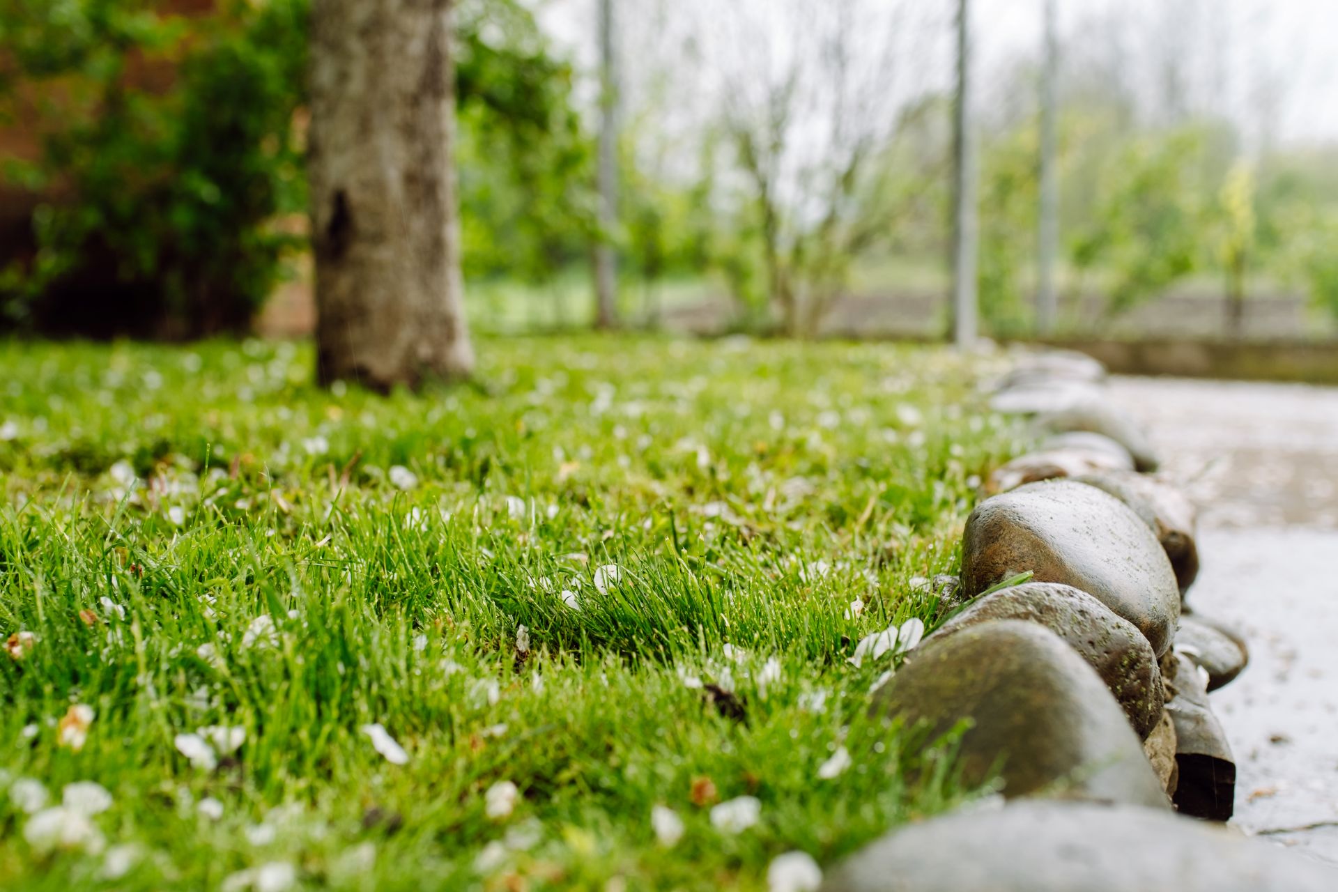 Landscaping Midstream_1134