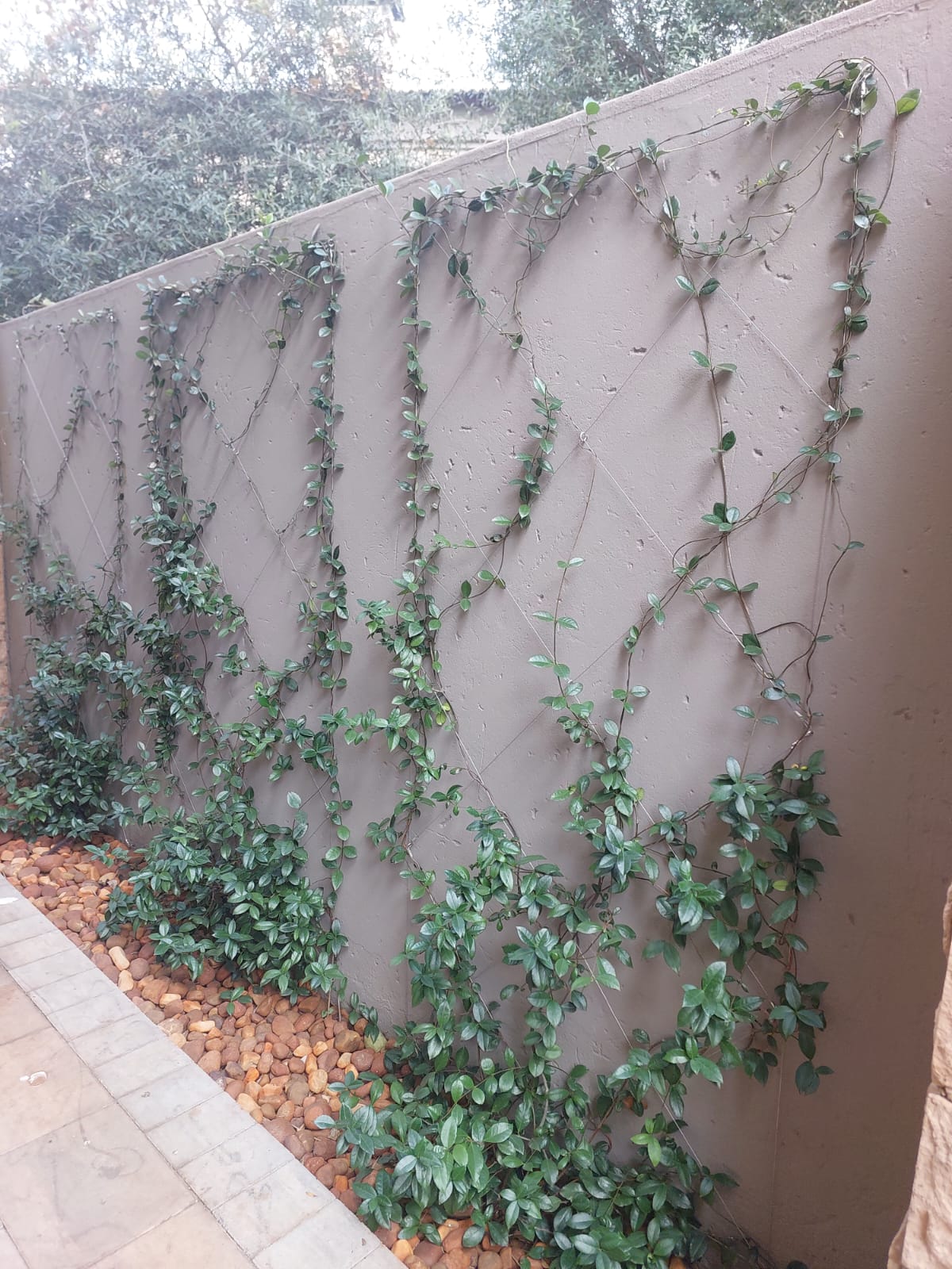 Landscaping-Centurion-3
