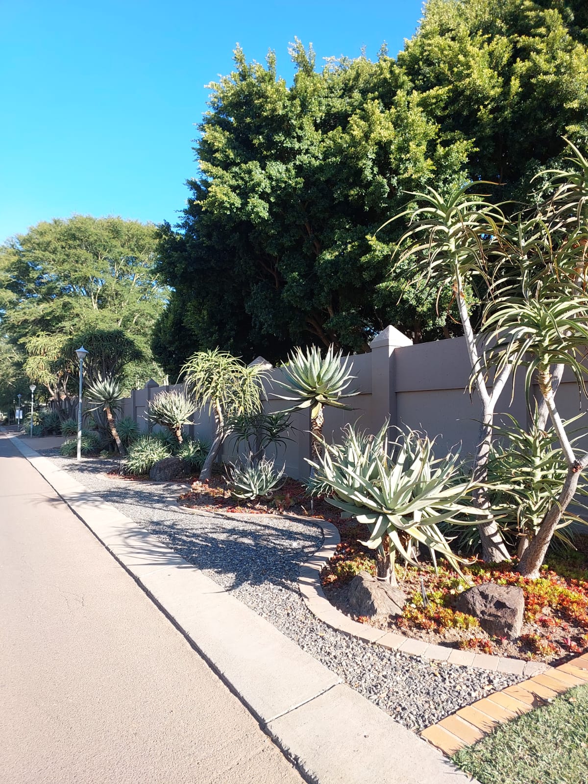 garden-pathways-centurion
