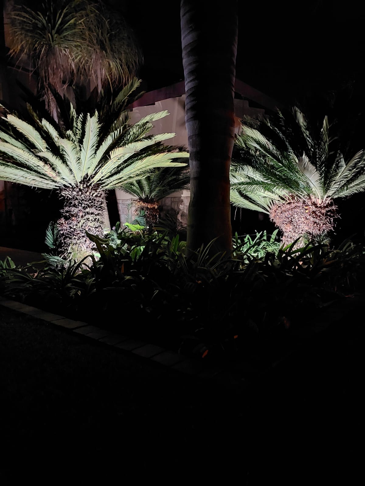 garden-transformation-centurion