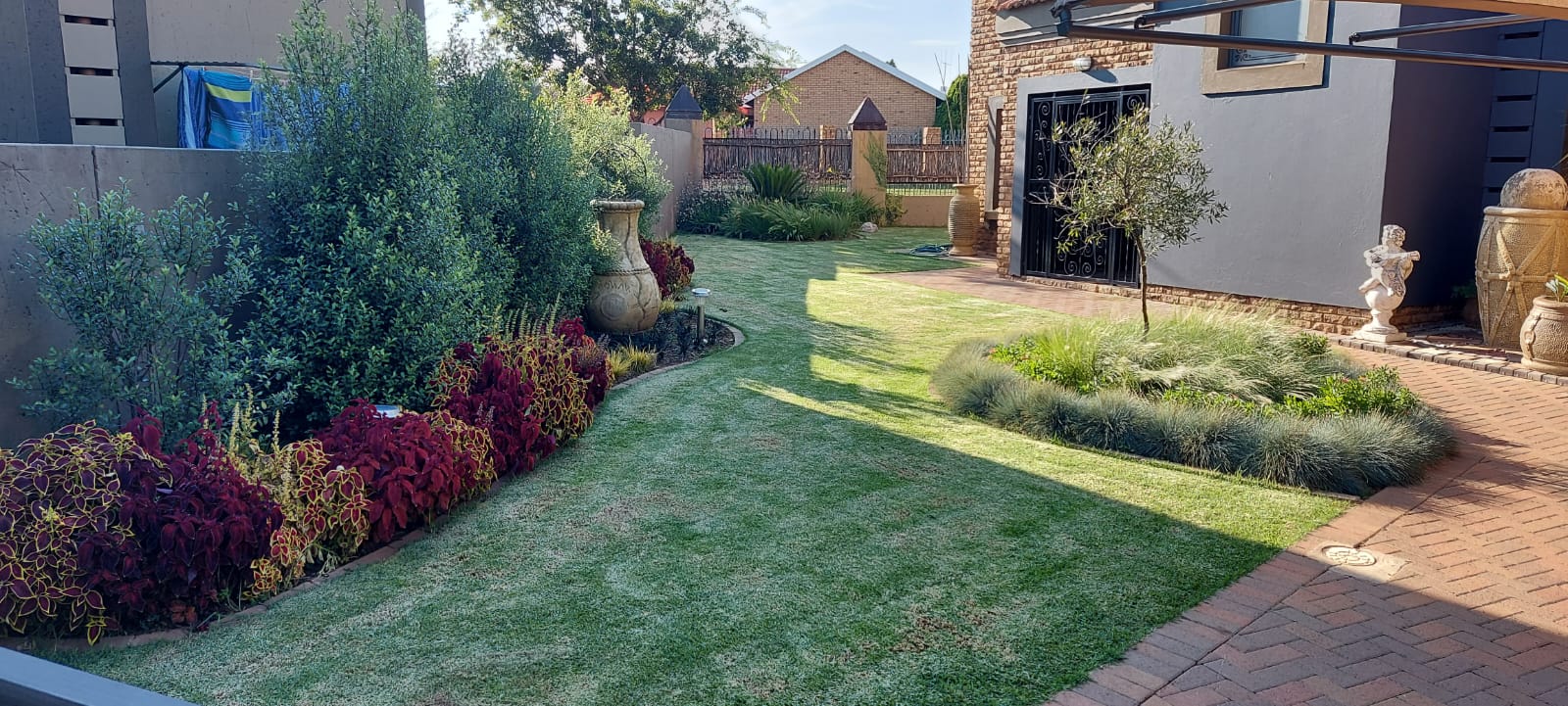 indigenous-garden-centurion
