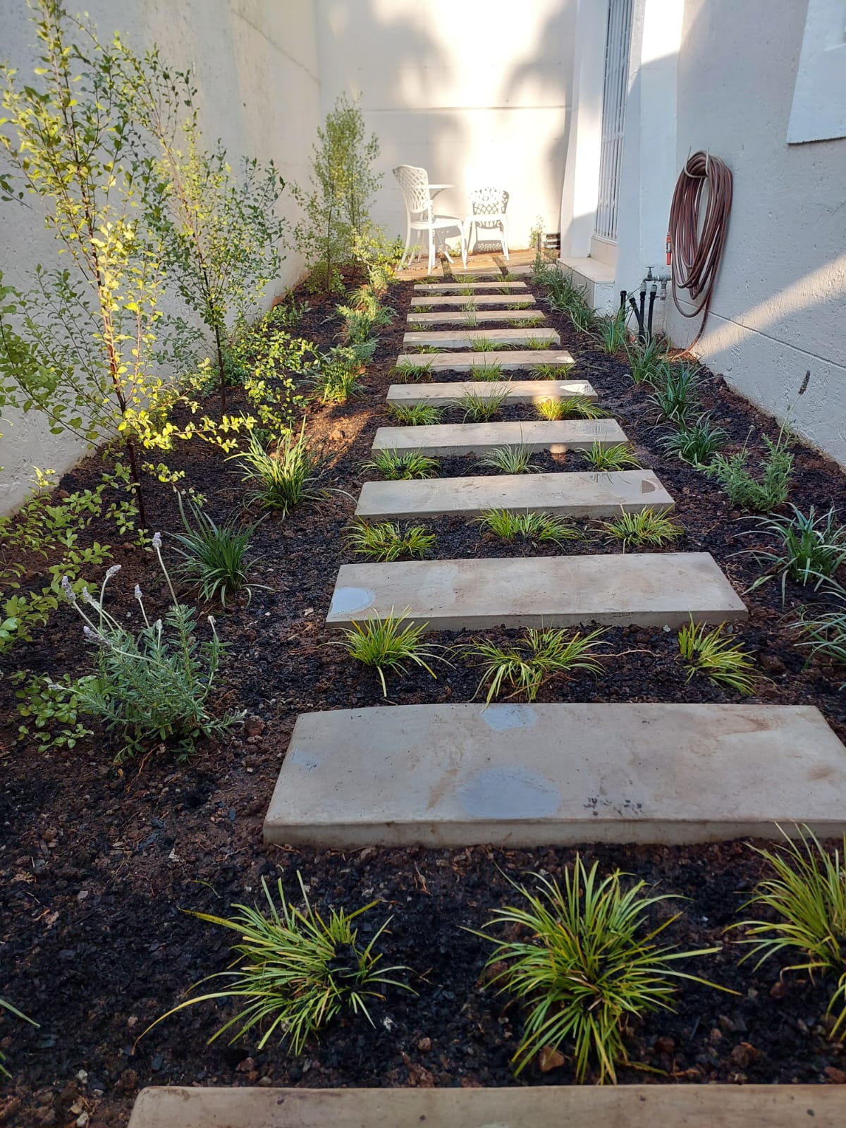 lawn-installation-centurion
