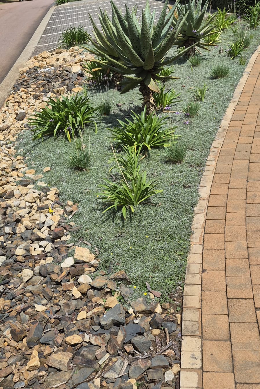 lawn-installation-midstream
