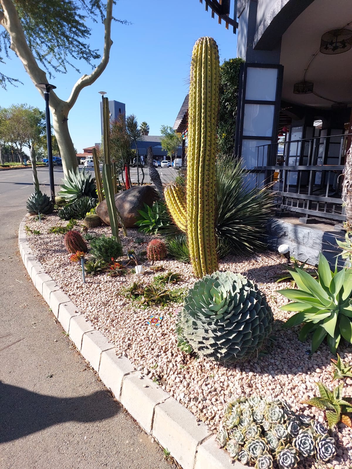 residential-landscaping-midstream